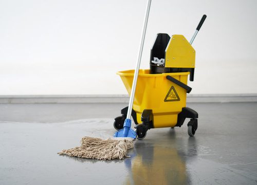 Econo 36lt Bucket & Wringer